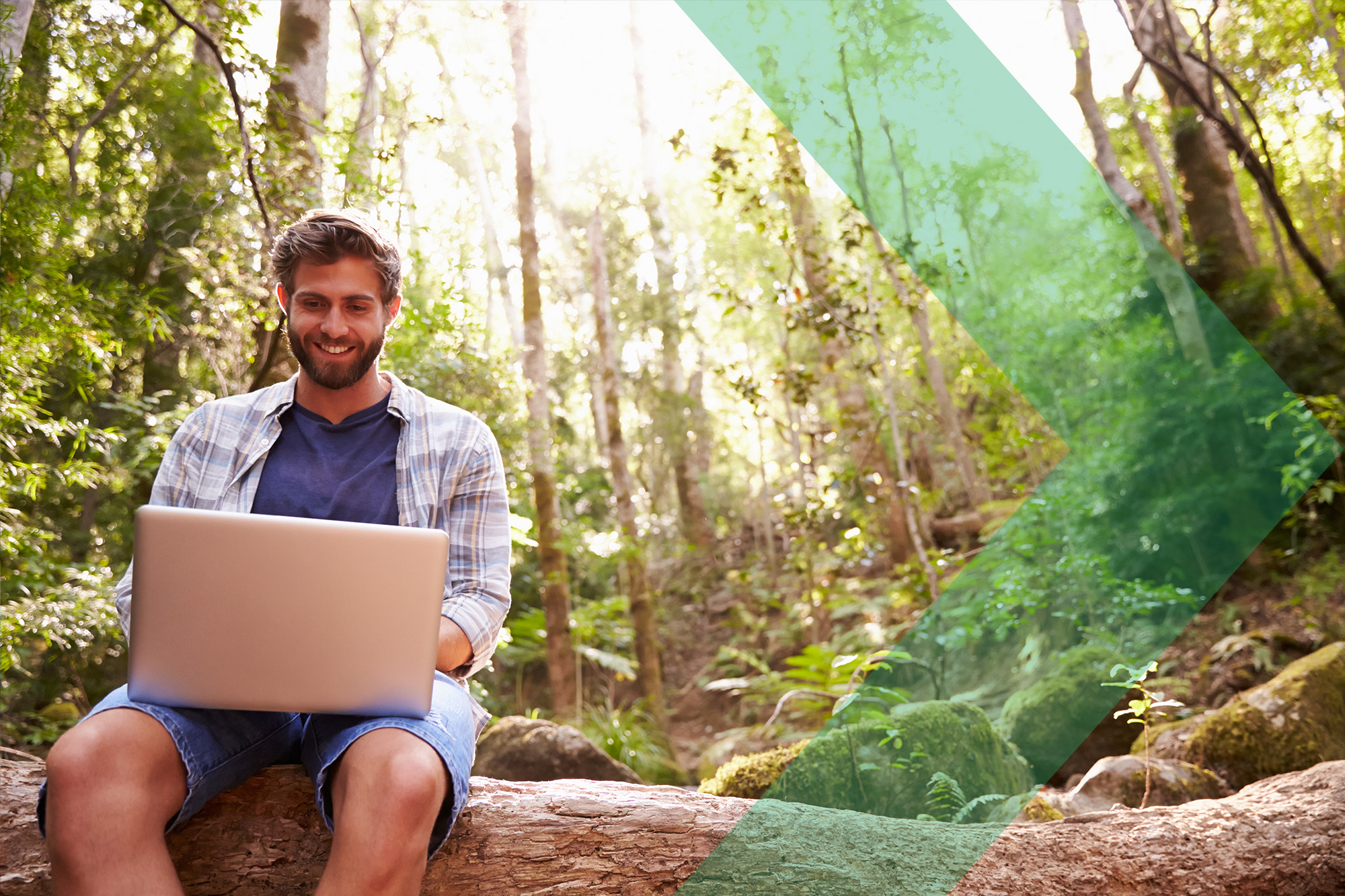 Working in a forest